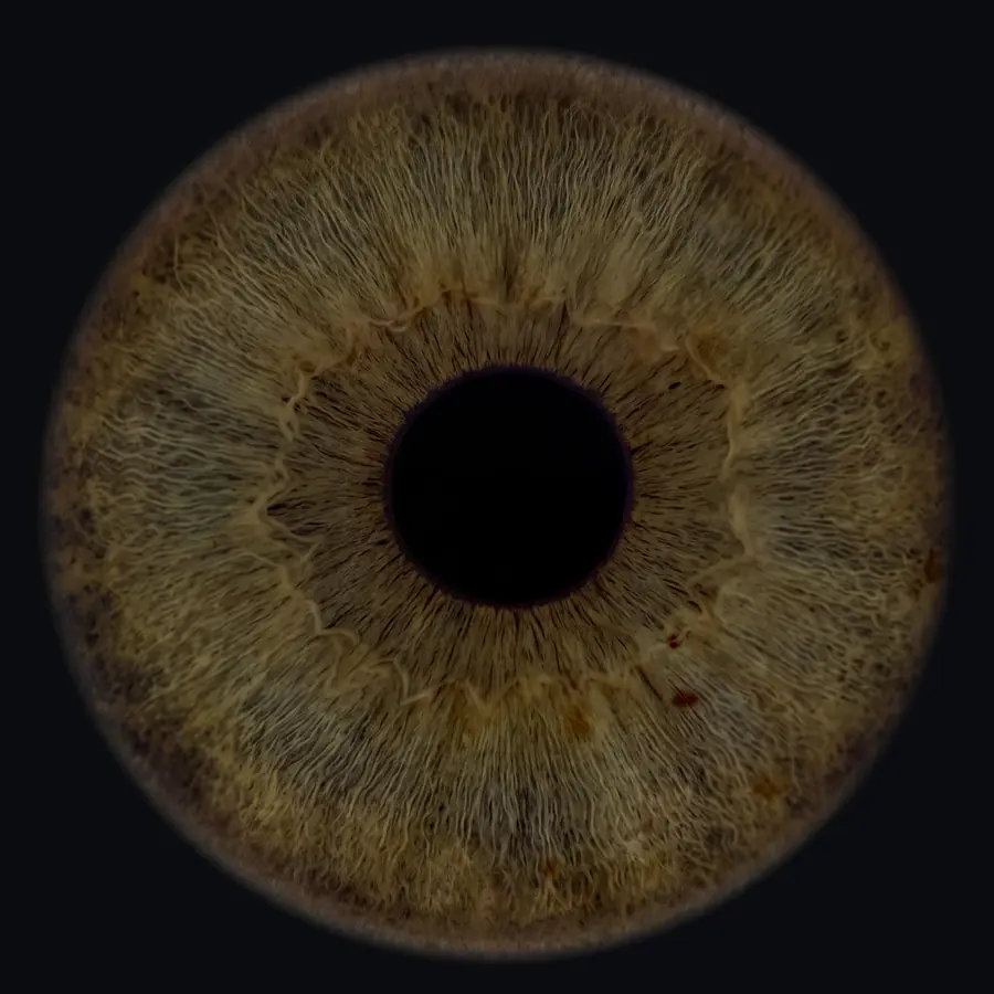 Example: a 4K iris portrait made by the app