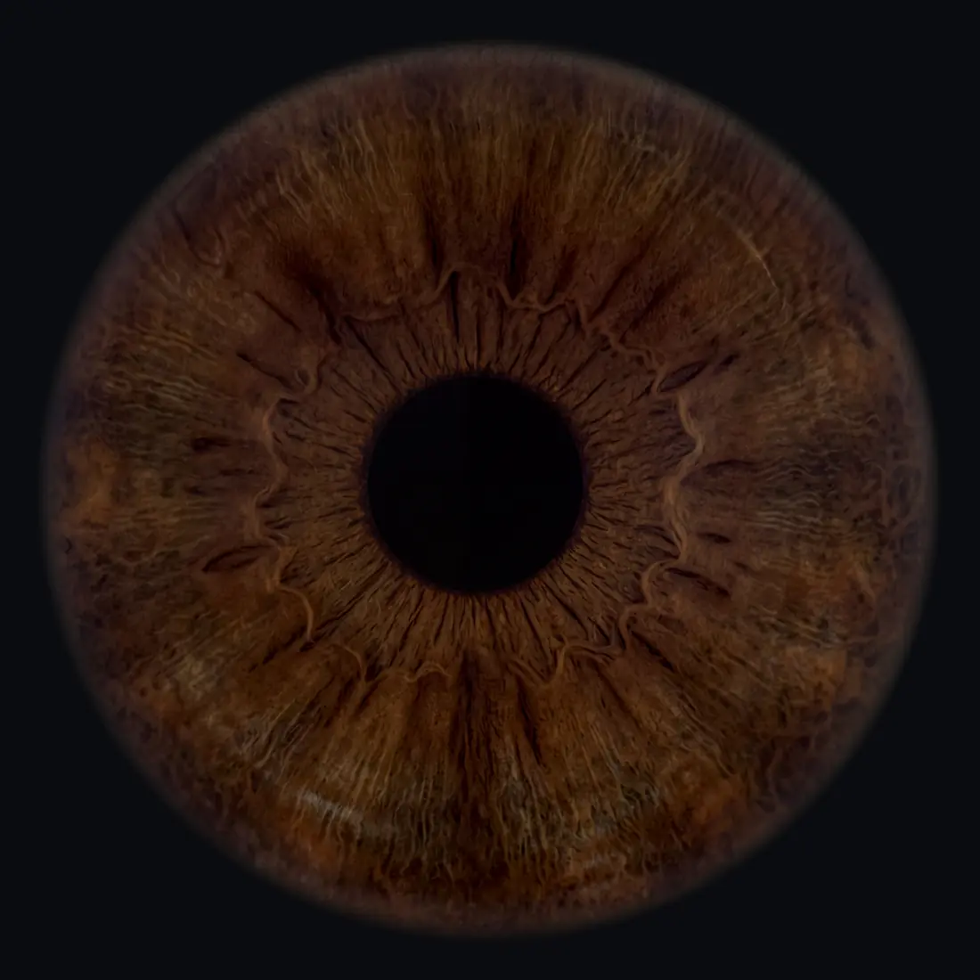 The 4K macro portrait of that iris