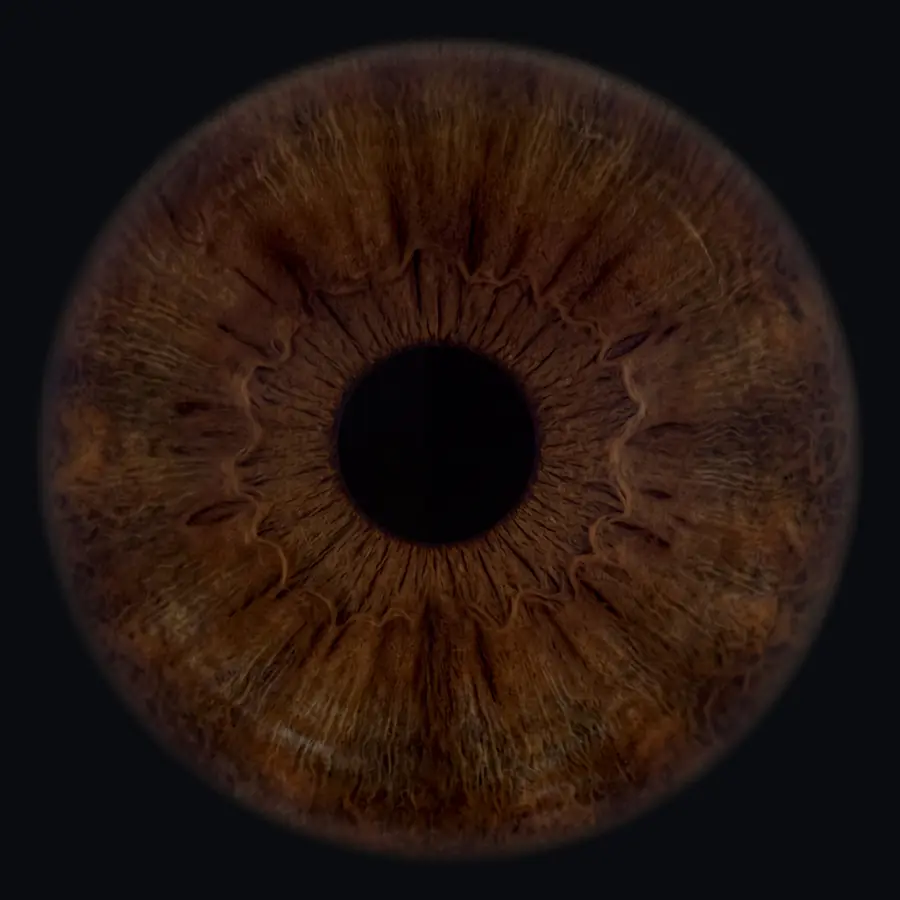 Example: the 4K portrait made from that close-up