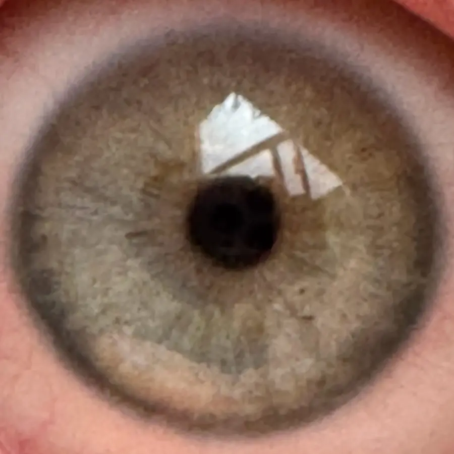 Example: the iPhone close-up it started from